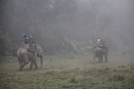Chitwan Ulusal Park Fil Safari