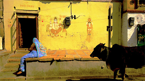 O.Yurdalan-06.02.2011-Jaisalmer-Şehrin sokaklarını tüm canlılar birlikte kullanıyor.P1050037