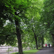 Karlovy Vary’nin yeşil dokusu yürüyüş için harika olanaklar sunuyor.